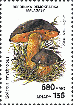 Briefmarke