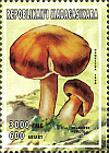 Briefmarke