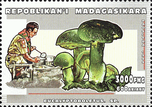Briefmarke