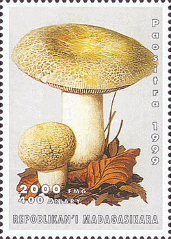 Briefmarke