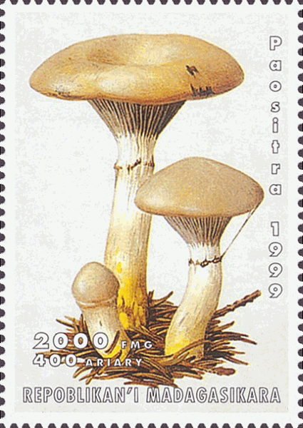Briefmarke