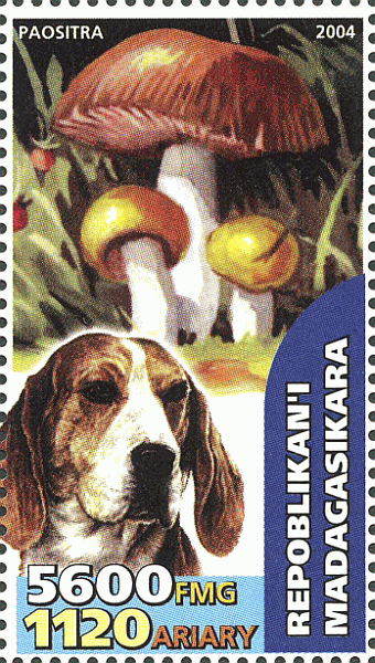 Briefmarke