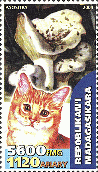 Briefmarke
