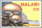 Briefmarke