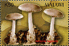 Briefmarke