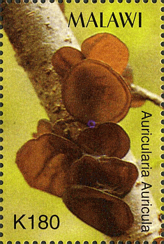 Briefmarke