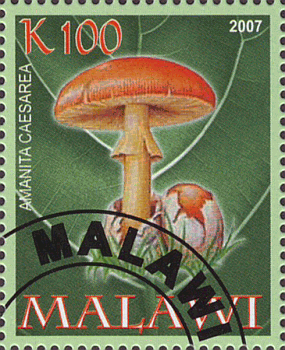 Briefmarke