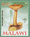 Briefmarke