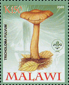 Briefmarke