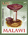 Briefmarke