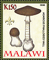 Briefmarke