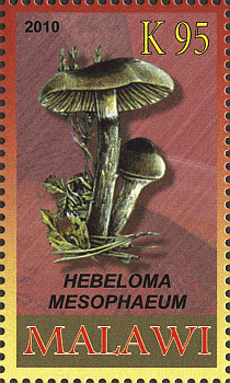 Briefmarke