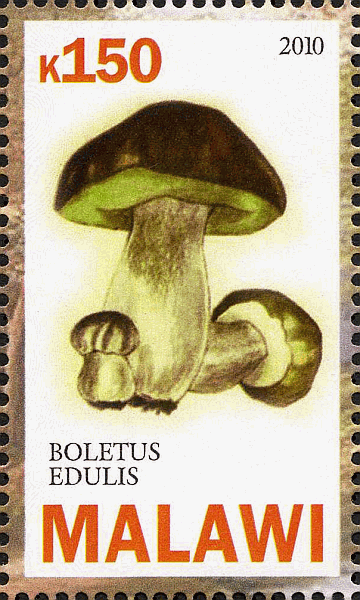 Briefmarke
