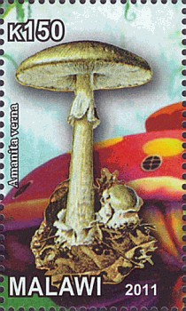 Briefmarke