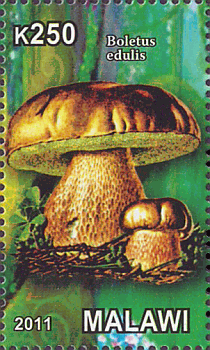 Briefmarke