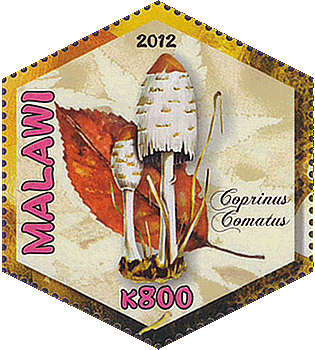 Briefmarke