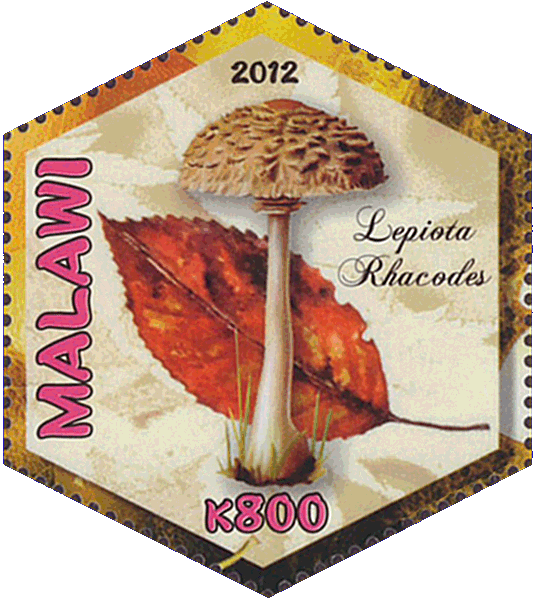 Briefmarke