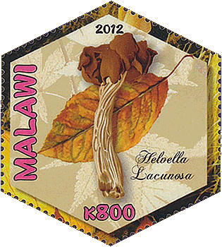 Briefmarke