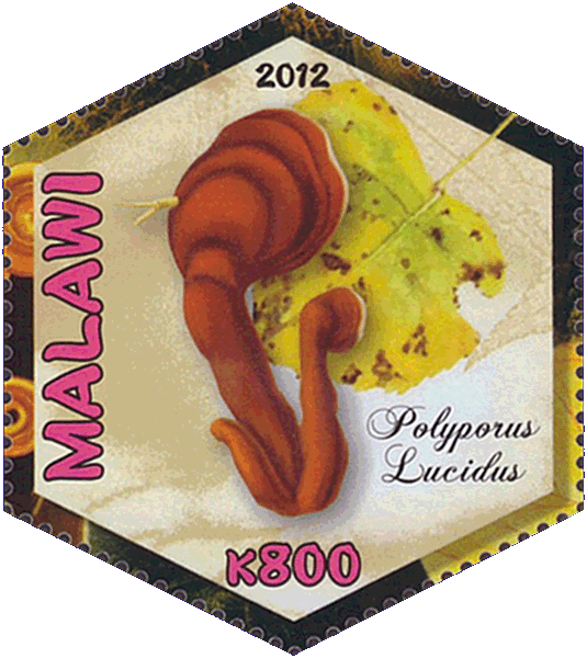 Briefmarke