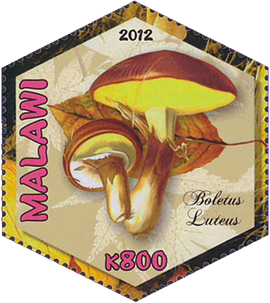 Briefmarke