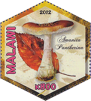 Briefmarke