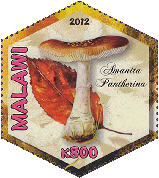 Briefmarke