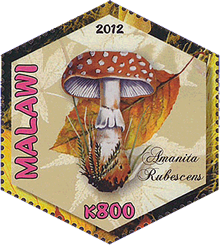 Briefmarke