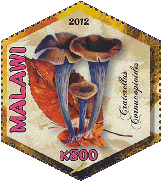 Briefmarke