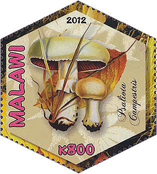 Briefmarke