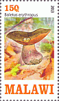 Briefmarke