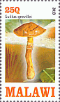 Briefmarke