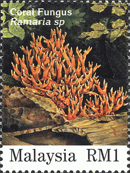 Briefmarke
