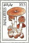 Briefmarke