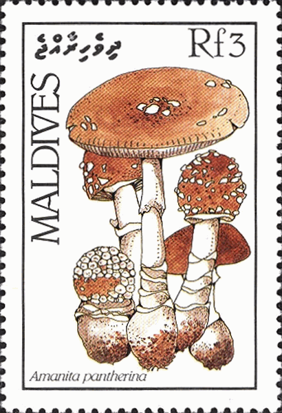 Briefmarke