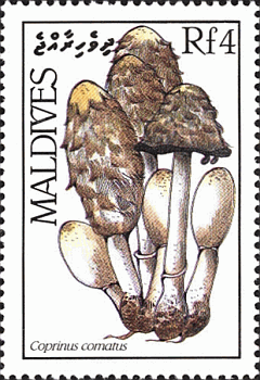 Briefmarke