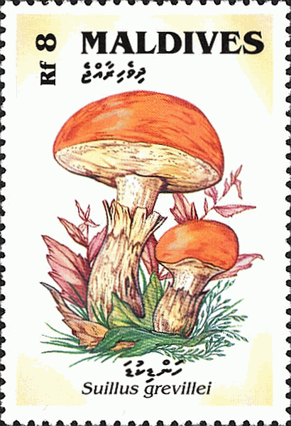 Briefmarke