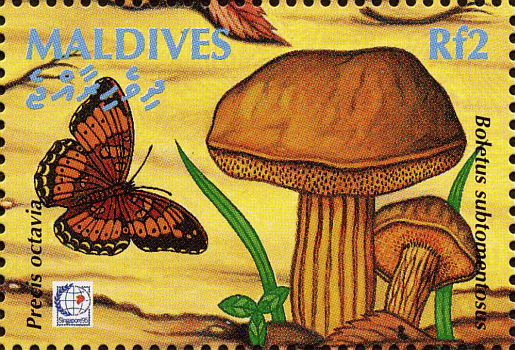 Briefmarke