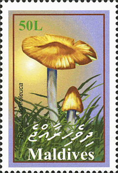 Briefmarke