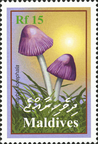 Briefmarke