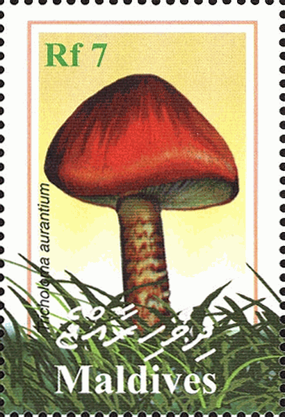 Briefmarke