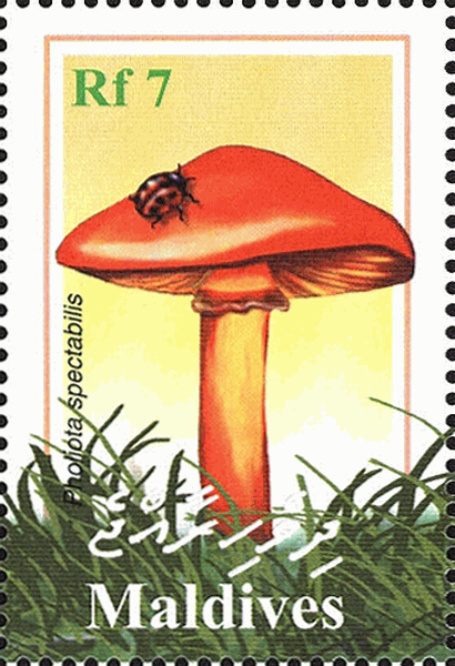Briefmarke