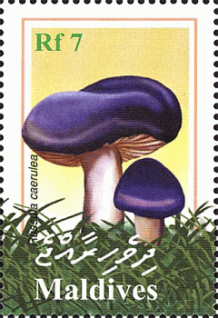 Briefmarke