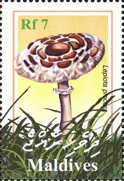 Briefmarke
