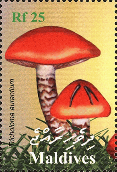 Briefmarke