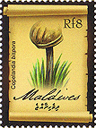 Briefmarke