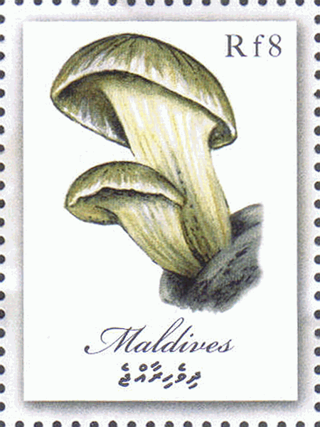 Briefmarke