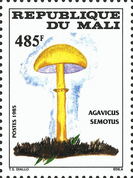 Briefmarke