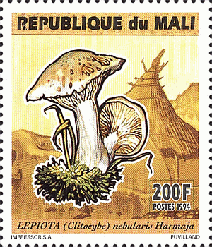Briefmarke