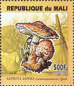 Briefmarke