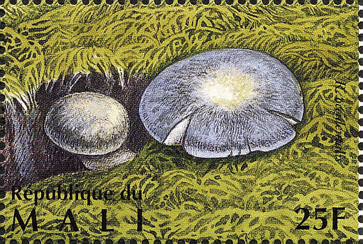 Briefmarke